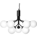 Apiales 9 Chandelier