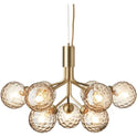 Apiales 9 Chandelier