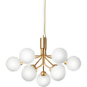 Apiales 9 Chandelier