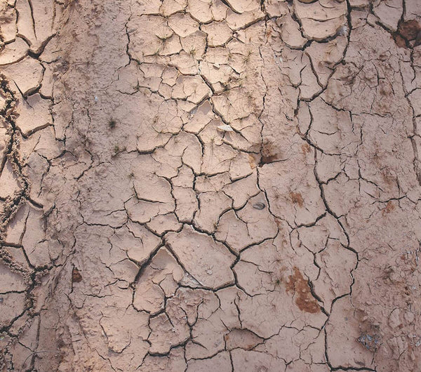 Image of dry soil
