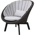 Peacock Lounge Outdoor Chair