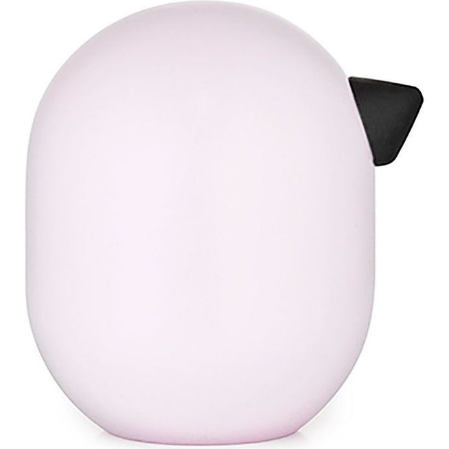 Photo of Little Bird Colour