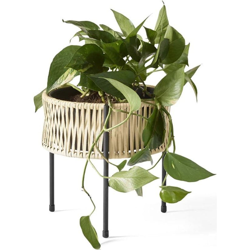 Umanoff Planter