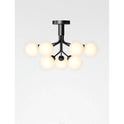 Apiales 9 Chandelier