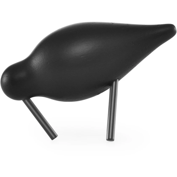 Photo of Shorebird Black