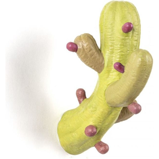 Photo of Cactus coat rack colored - 14638col