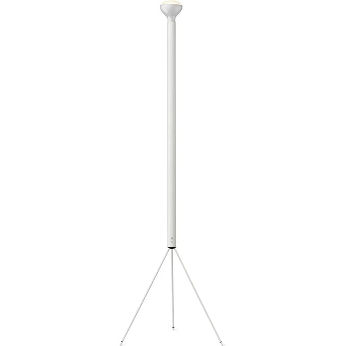 Photo of Luminator Floor Lamp 1