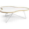 Flower Table 107x114 Cm H39 Cm
