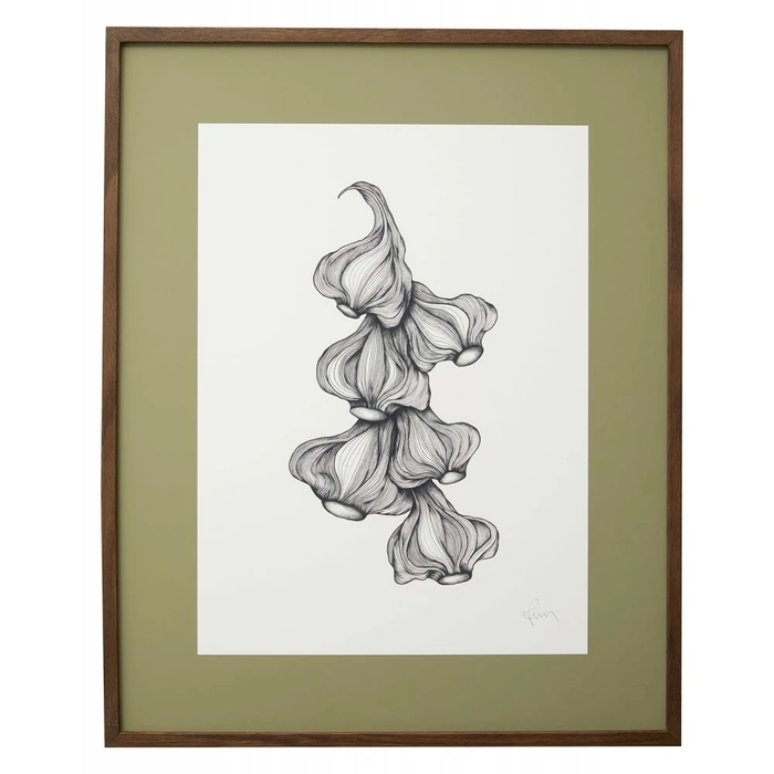 Photo of Garlic Illustration - Dark Oak