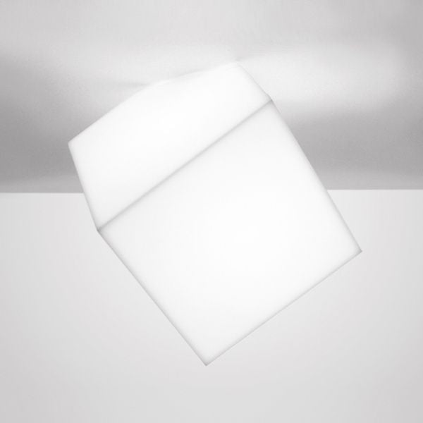 Photo of Edge