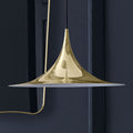 Thumbnail photo of Semi Pendant Lamp, Medium
