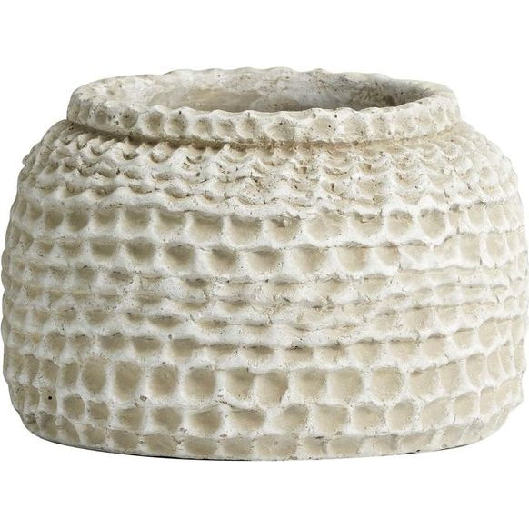 Photo of Aoba Krukke