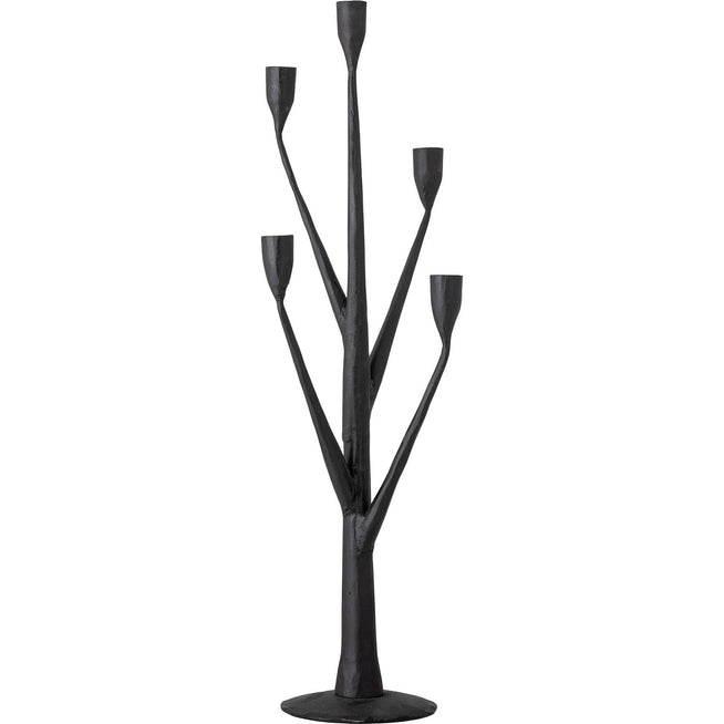 Photo of Abriz Lysestage