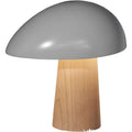 Thumbnail photo of Night Owl Table Lamp