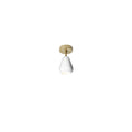 Thumbnail photo of Anoli Spot Surface Wall/ceiling Lamp