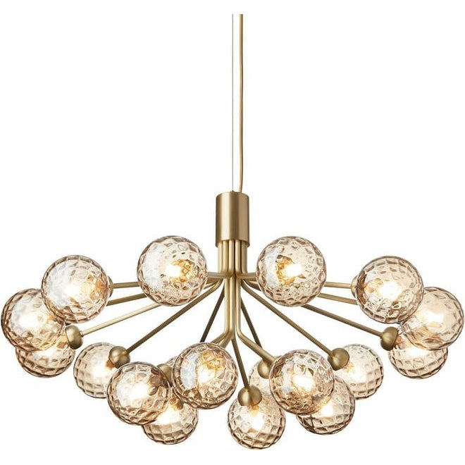 Photo of Apiales 18 Chandelier
