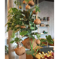 Thumbnail photo of Planteplaneter