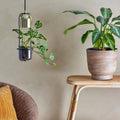 Thumbnail photo of Led Pendant Light Gold Finished Glass