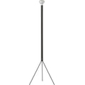Thumbnail photo of Luminator Floor Lamp