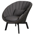 Thumbnail photo of Peacock Lounge Outdoor Chair
