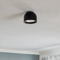 Thumbnail photo of Wan Ceiling Lamp/wall Lamp