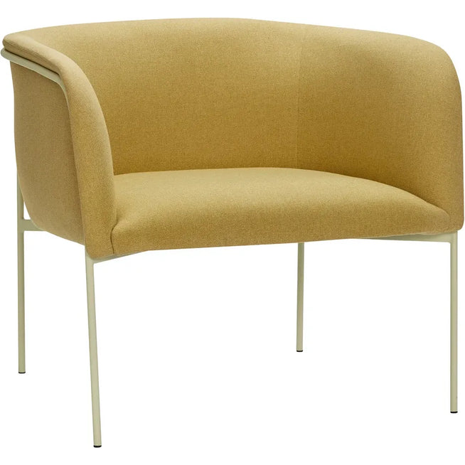Photo of Armchair - Yellow/light green