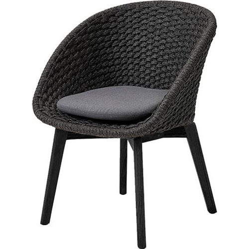 Photo of Peacock Outdoor Chair