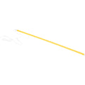 Thumbnail photo of Neon Tube