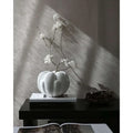 Thumbnail photo of Bloom Vase Petit
