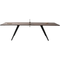 Thumbnail photo of Signature Ping Pong Table