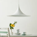 Thumbnail photo of Semi Pendant Lamp, Large