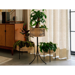 Photo of Umanoff Planter