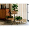 Thumbnail photo of Umanoff Planter