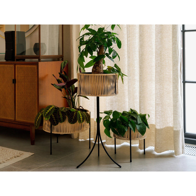 Photo of Umanoff Planter