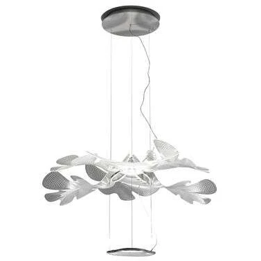 Chlorophilia Pendant Led Crome App