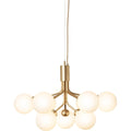 Thumbnail photo of Apiales 9 Chandelier