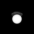 Thumbnail photo of Liila 1 Outdoor Wall Lamp