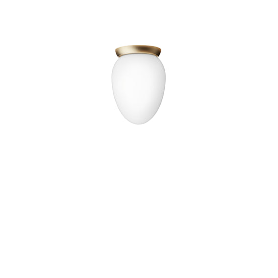 Photo of Rizzatto 171 Wall Lamp/ceiling Lamp Satin