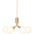 Thumbnail photo of Apiales 6 Pendant Brushed Brass/opal
