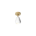 Anoli Spot Surface Wall/ceiling Lamp