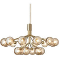 Thumbnail photo of Apiales 18 Chandelier