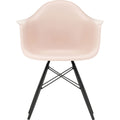 Eames Plastic Armchair Daw - 41 Pale Rose - Black Maple - Matstolar - Charles & Ray Eames - Rosa - Metall/trä/plast