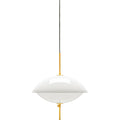 Thumbnail photo of Clam Pendant Lamp
