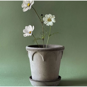 Photo of Elizabeth Plant Pot