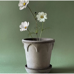 Photo of Elizabeth Plant Pot