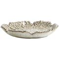 Thumbnail photo of Leafa Plate S Set of 4 Pieces