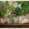 Thumbnail photo of Elizabeth Plant Pot