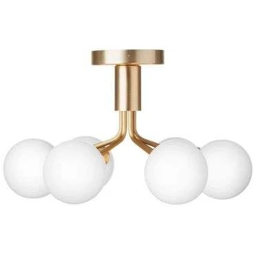 Photo of Apiales 6 Ceiling Lamp Brushed