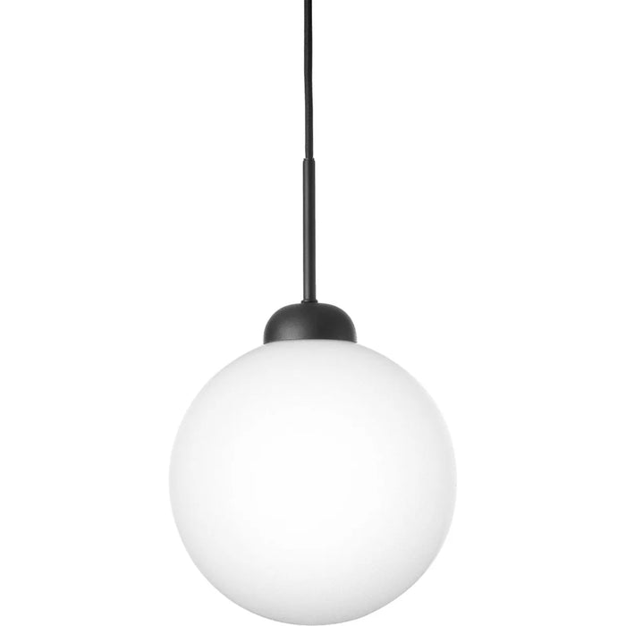 Photo of Apiales 1 Pendant Large