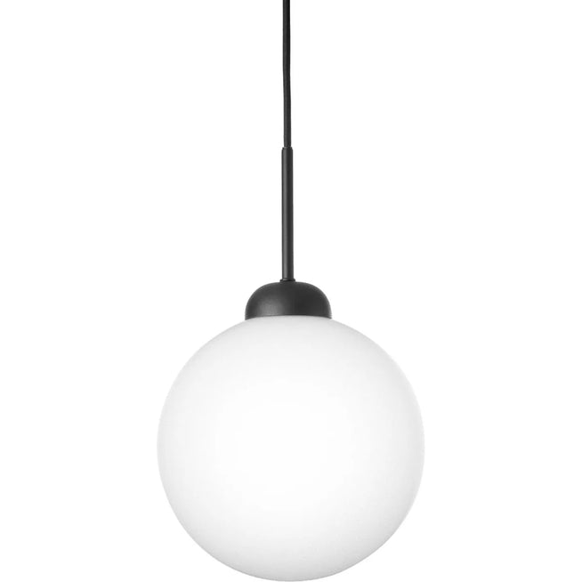Photo of Apiales 1 Pendant Large